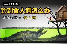 模型：钓到食人鳄怎么办，在线等很急！视频封面