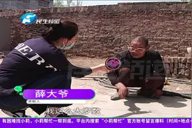 河南郑州：不明虫子侵占花生地，专家称也是第一次见视频封面