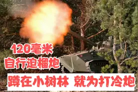 俄乌冲突#俄军120毫米自行迫榴炮#偷袭乌军掩体视频封面