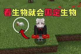 【我的世界】看生物就会固定生物!