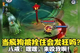 王者：当疯狗被拴住会发狂吗？八戒：嘿嘿，来咬我啊！视频封面