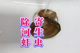 如何去除河蚌寄生虫？加点食盐和醋，快速逼出河蚌水蛭蚂蟥的方法视频封面