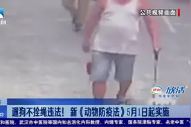 遛狗不拴绳违法！新《动物防疫法》5月1日起实施视频封面