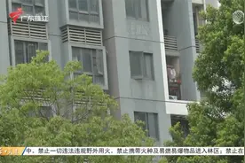 深圳：928套公租房接受意向登记 租金“超笋”视频封面