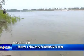 湖北：为毁灭证据 司机将肇事车推进汉江视频封面