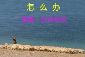 一首民谣《怎么办》演唱者的声音太有辨识度了，让人听了还想听视频封面