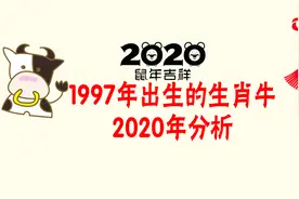 1997年出生的生肖牛2020年分析视频封面