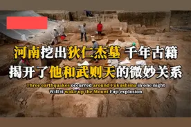 河南挖出狄仁杰墓？陪葬的的古籍，揭开他和武则天的微妙关系视频封面