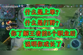 什么是上单？什么是打野？你了解王者的5个职业后，说明你成长了视频封面