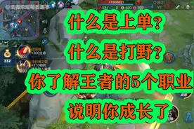 什么是上单？什么是打野？你了解王者的5个职业后，说明你成长了