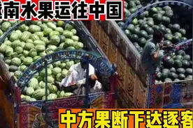 越南几千辆卡车水果运往中国，未经我们允许，中方果断下达逐客令视频封面