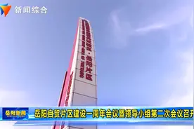 岳阳自贸片区建设一周年会议暨领导小组第二次会议召开视频封面