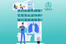 肺在我们人体哪个位置？它的作用只是用来吸氧的吗？视频封面
