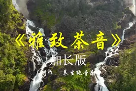 《雅致茶音》古筝纯音乐加长版，涤荡心灵，舒心怡神，静心助眠视频封面