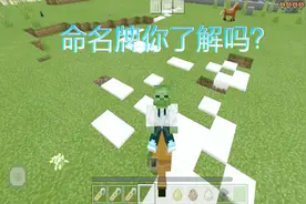 我的世界：一招教你正确使用命名牌，这么酷不好吗？