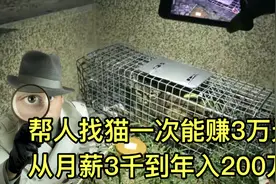 帮人找猫一次能赚3万元，有人从月薪3000做这个年入200万！视频封面
