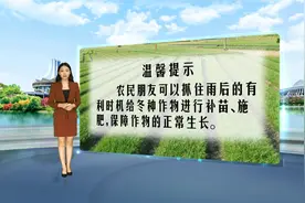 明晚到19日，受冷空气补充影响，我市将再次迎来降雨降温天气。视频封面