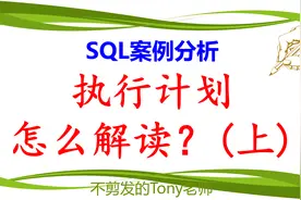 SQL案例分析：执行计划怎么解读？（上）视频封面
