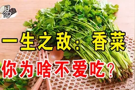 香菜：味道像是臭虫，为啥还有人对它爱得要死？香菜战争选边站！视频封面