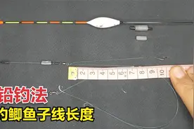 跑铅钓法野钓鲫鱼，10厘米和30厘米子线哪个好？听老手细细道来视频封面
