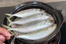 盐焗巴浪鱼的做法，出锅原汁原味，油脂丰富，肉质鲜香滑嫩视频封面