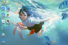 以身犯险，让你知道流氓捆绑软件是如何安装到你电脑上视频封面