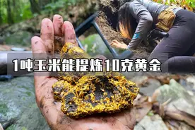 1吨玉米中能提炼10克黄金，生物的富集作用到底有多可怕？视频封面