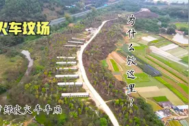 在南宁郊区发现有九节绿皮火车车厢，为什么被遗弃在这荒地视频封面