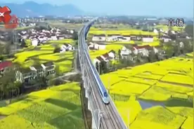 开往花海的列车 西成高铁在油菜花海中穿行视频封面