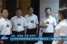刘力东带领县领导看望出席党代表视频封面
