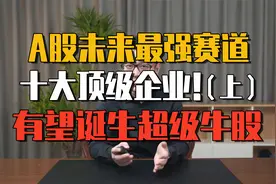 A股未来最强赛道，十大顶级企业有望诞生超级牛股（建议收藏）上视频封面