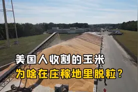 美国人收割的玉米，为什么在庄稼地里就直接脱粒？玉米棒去哪了？