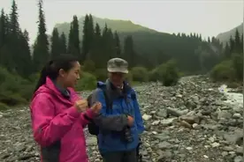 长途跋涉赶上下雨？在新疆降雨量最大的巩乃斯大森林一点也不奇怪视频封面