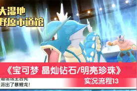 大维《宝可梦 晶灿钻石/明亮珍珠》大湿地 野原市道馆 实况流程13视频封面