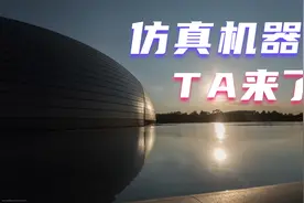 仿真机器人，有温度的TA视频封面
