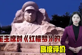 许世友说红楼梦是“吊膀子”很抵触，毛主席劝：看五遍才有发言权视频封面