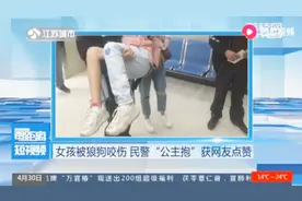 最帅公主抱！11岁女孩遭狼狗追咬，血流不止，民警为其辗转治疗视频封面