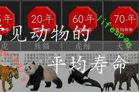 常见动物的平均寿命视频封面
