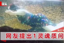 山东女子在自家鱼缸畅游捞鱼，泳衣泳镜全副武装，网友直呼太羡慕视频封面