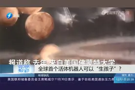 美国惊人发现曝光，全球首个活体机器人可以“生孩子”了视频封面