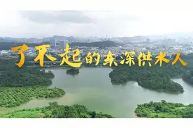 了不起的东深供水人视频封面