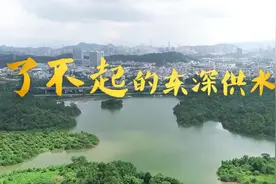 了不起的东深供水人视频封面