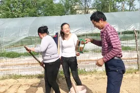 农村媳妇去帮公婆种秧苗，却被婆婆嫌弃，公公在旁边笑视频封面
