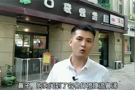狗怕什么气味？视频封面