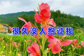 2022新歌！一首DJ情歌《很久没人抱过我》旋律伤感，太好听了！视频封面