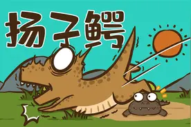 曾与恐龙同行的扬子鳄，究竟是怎样的一种动物？视频封面