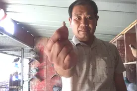 养鸽大叔有新招：不花钱不用药，仅用它就可以驱除鸽子体内虫视频封面