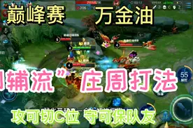 刺辅流庄周，攻可切敌方C位，守可保己方输出，万金油完整教学视频封面