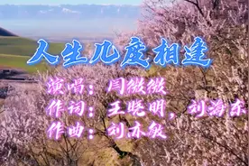 闫微微《人生几度相逢》天涯送君别，江山英雄泪，多少红颜为君醉视频封面