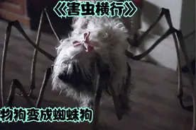 巨型虫子拿人类当早餐，用蛛丝把人们都包裹起来。视频封面